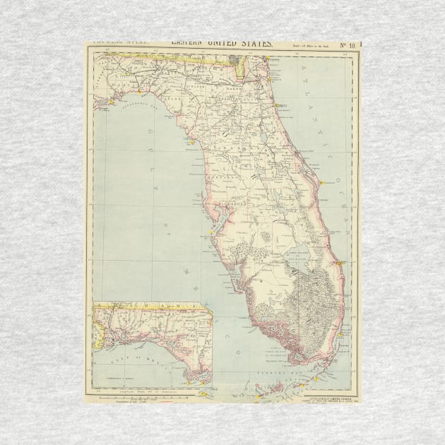 Vintage Map of Florida (1883) 2 by Bravuramedia